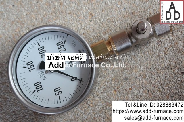 kromschroder Pressure Gauge Push Buttom Valve (12)